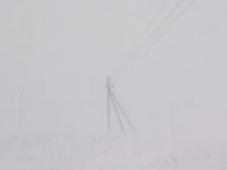 Фото предоставлено пресс-службой «Россети Сибирь»