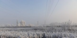 Фото предоставлено пресс-службой «Россети Сибирь»