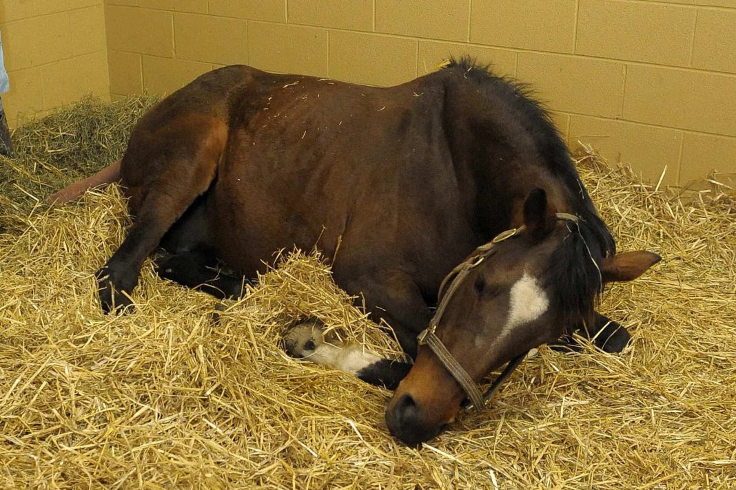 Фото со страницы Минсельхоза РХ