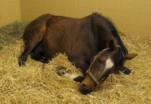 Фото со страницы Минсельхоза РХ