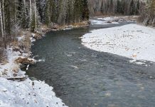 Река Анзас. Рядом с участком работы АС «Ойна» Фото pulse19.ru