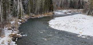 Река Анзас. Рядом с участком работы АС «Ойна» Фото pulse19.ru