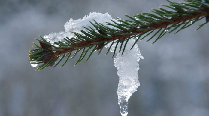 Прогноз погоды по Хакасии на 28-30 марта Оттепель