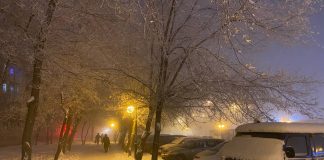 Фото из телеграм-канала Минприроды РХ