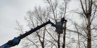 Фото: Абакан.рф