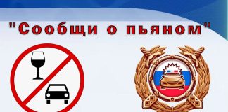 Сообщи о пьяном водителе. ГИБДД