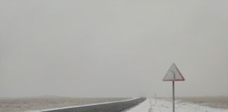 Фото ГИБДД