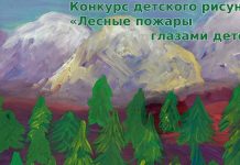 Фото пресс-службу Министерства лесного хозяйства РХ