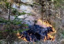 Лесной пожар