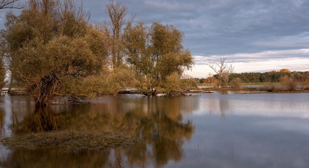 Изображение из фотобанка паводок