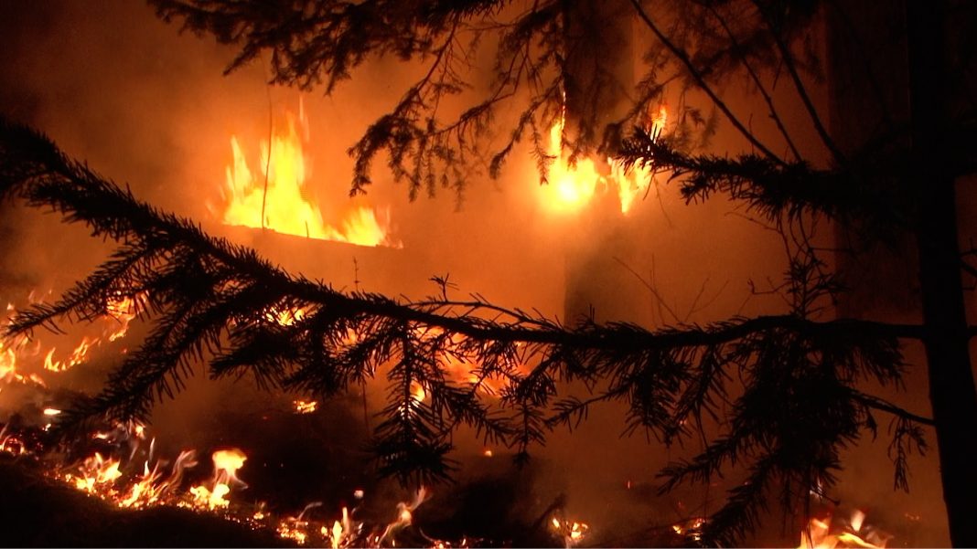 Фото предоставлено пресс-службой Минлесхоза РХ