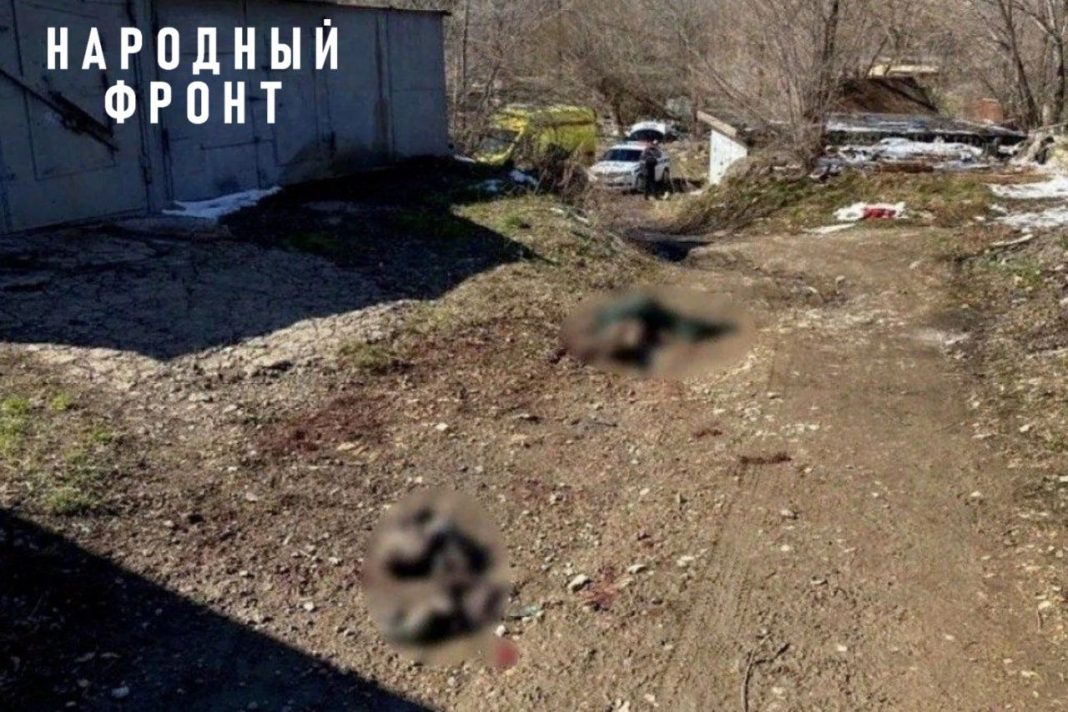 Фото пресс-службы Народного фронта