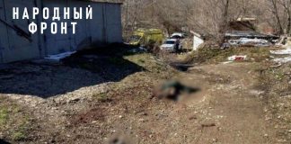 Фото пресс-службы Народного фронта