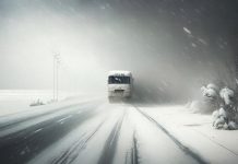 Метель на дороге