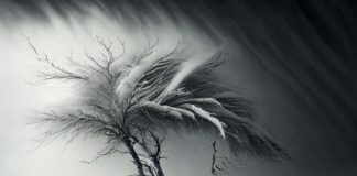 Метель, снег, ветер