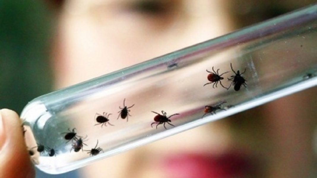 Фото пресс-службы МЧС Хакасии