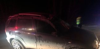 Фото ГИБДД