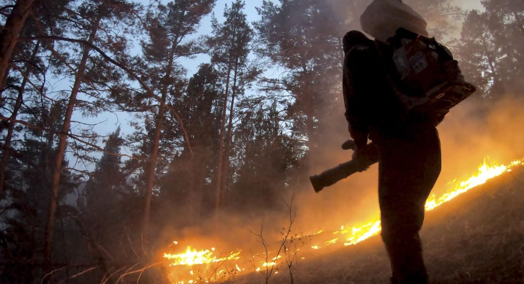 Фото из телеграм-канала Минлеса РХ