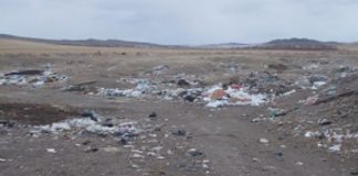 Фото предоставлено пресс-службой Россельхознадзора