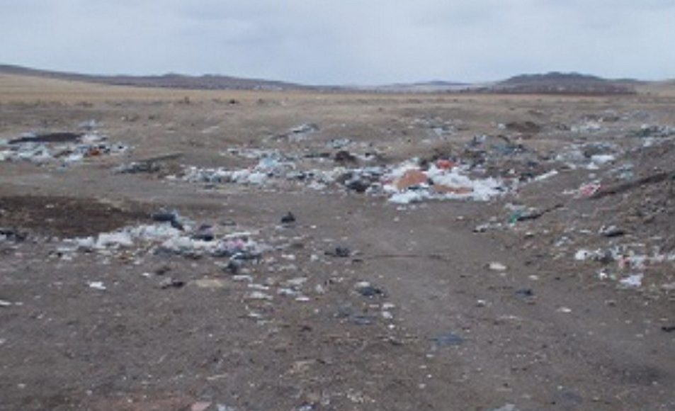 Фото предоставлено пресс-службой Россельхознадзора