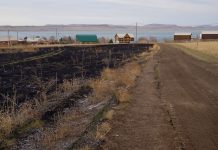 Фото предоставлено пресс-службой Россети Сибирь