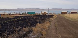 Фото предоставлено пресс-службой Россети Сибирь