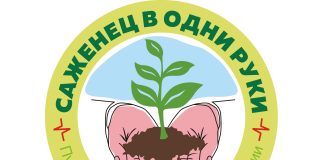 Акция «Саженец в одни руки». Источник: Минприроды РХ