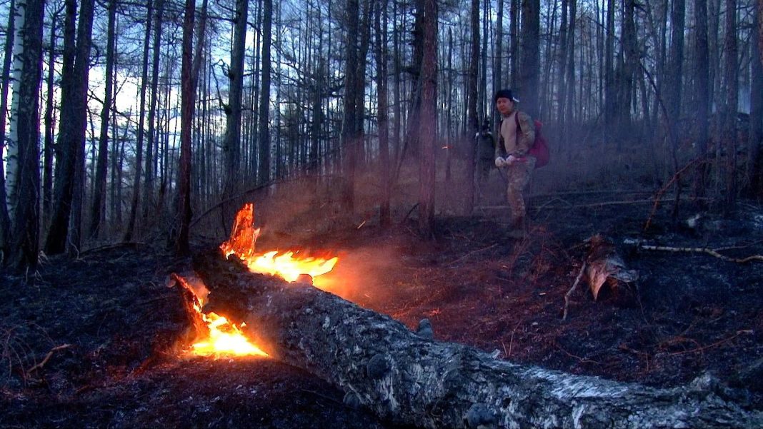 Фото пресс-службы Минприроды РХ Фото пресс-службы Минприроды РХ