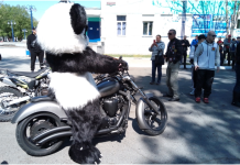 Открытие мотосезона в Абакане. Фото pulse19.ru