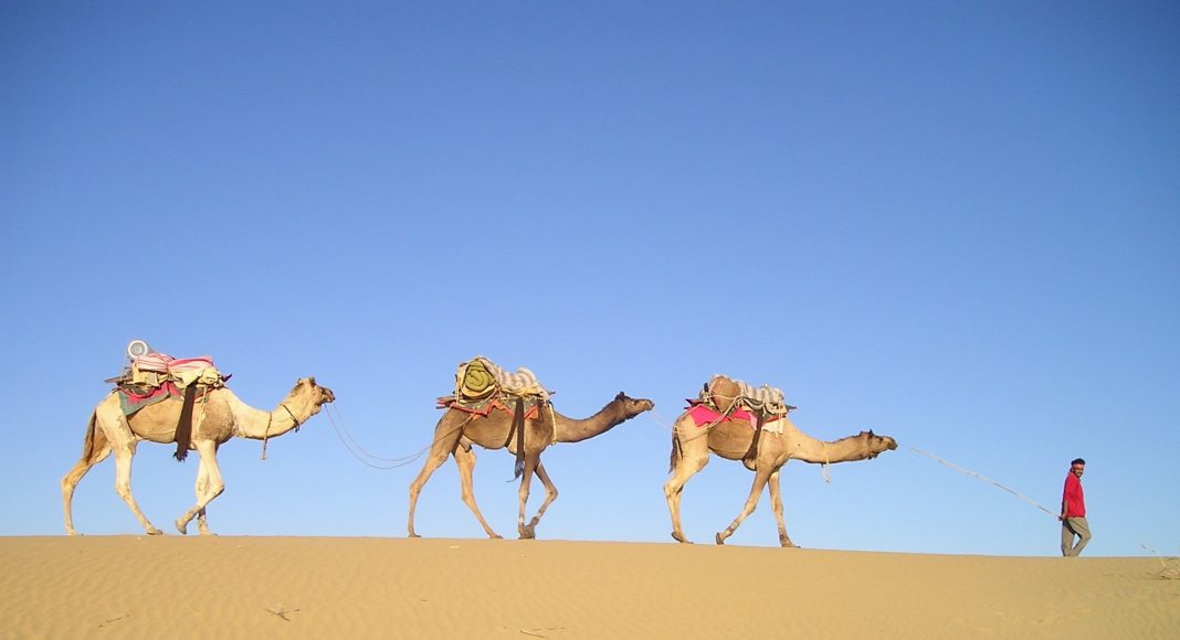 Караван в пустыне