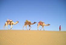 Караван в пустыне