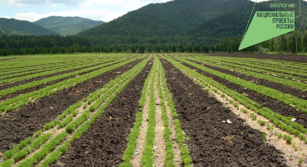 Фото пресс-службы Минлеса РХ