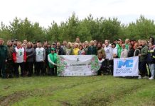 Фото: Минлес Хакасии и ГУ МЧС России по Хакасии