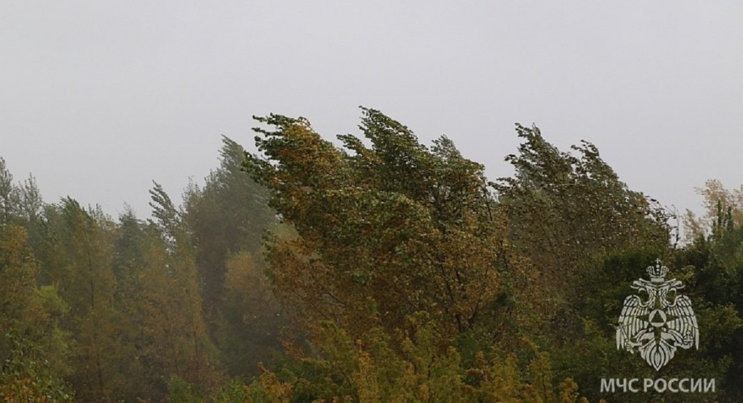 Фото пресс-службы МЧС Хакасии