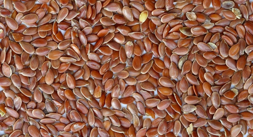 Семена льна