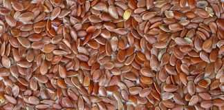 Семена льна