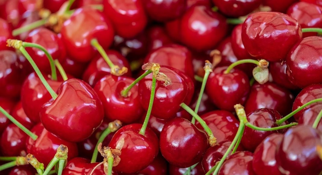 Изображение из фотобанка Черешня