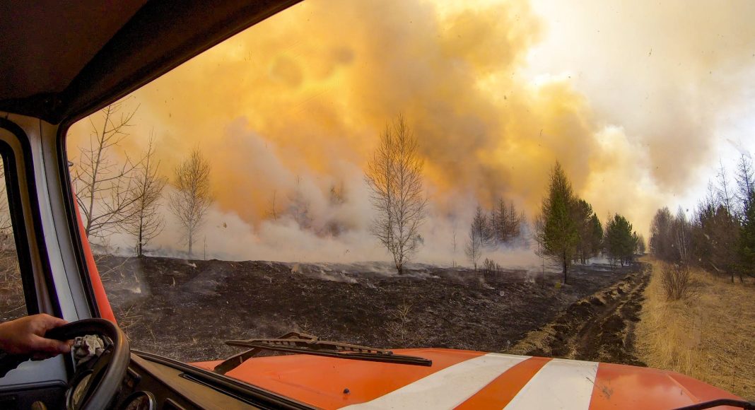 Фото из телеграм-канала Минлеса РХ