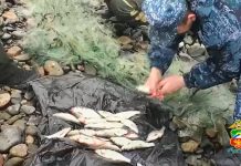 Кадр съемки МВД