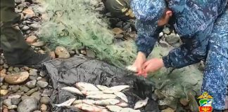 Кадр съемки МВД