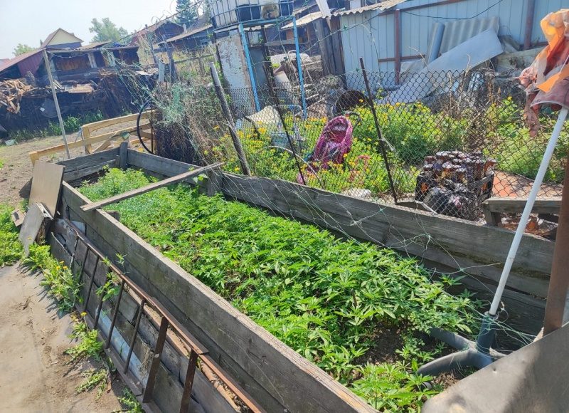 Фото МВД Фото МВД