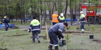 Фото предоставлено пресс-службой СУЭК