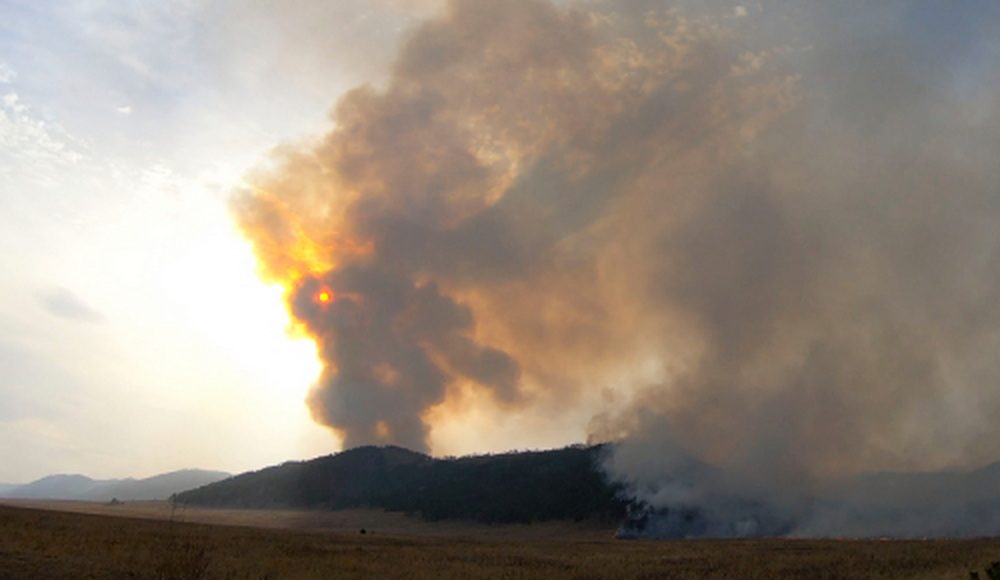 Фото предоставлено пресс-службой Минлеса РХ