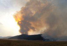 Фото предоставлено пресс-службой Минлеса РХ