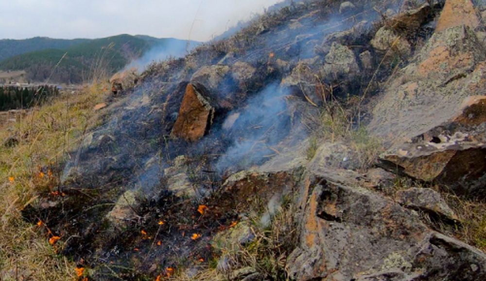 Фото предоставлено пресс-службой Минлеса РХ