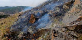Фото предоставлено пресс-службой Минлеса РХ