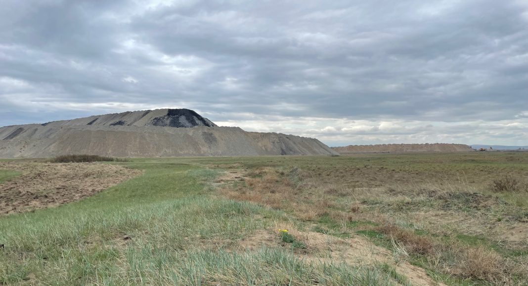 Фото предоставлено пресс-службой Россельхознадзора