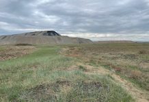 Фото предоставлено пресс-службой Россельхознадзора