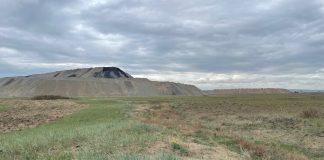Фото предоставлено пресс-службой Россельхознадзора