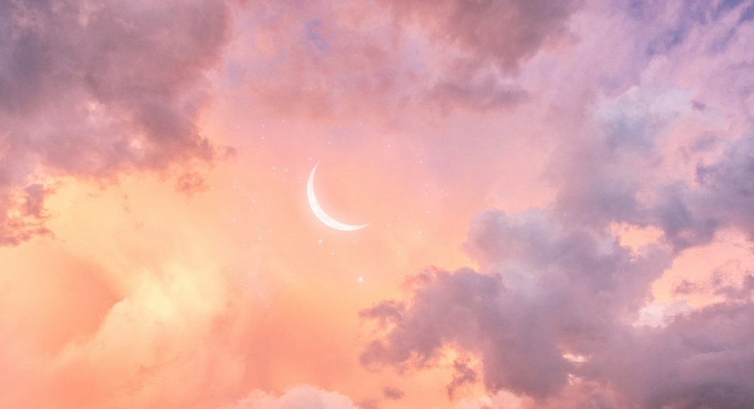 Изображение из фотобанка Розовые сны